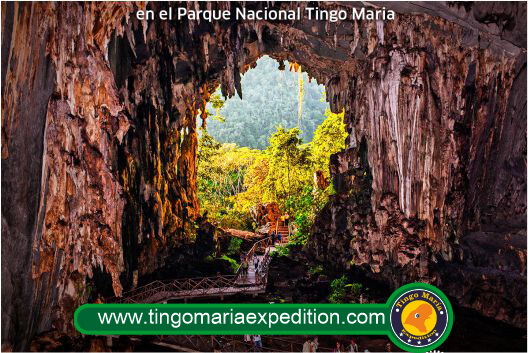 interior de la cueva de las lechuzas en tingo maria